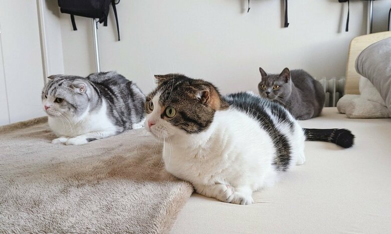 左から倫太郎くん、鉄朗くん、光太郎くん（後ろ）