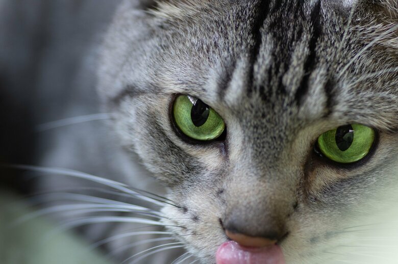 グリーンは銅色と青色の中間色（画像はイメージ）