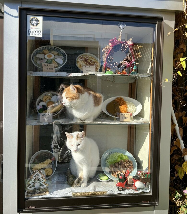 珍しくコンちゃんが下に