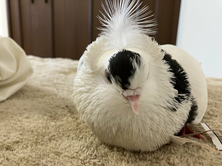 ちょっと眠そう？