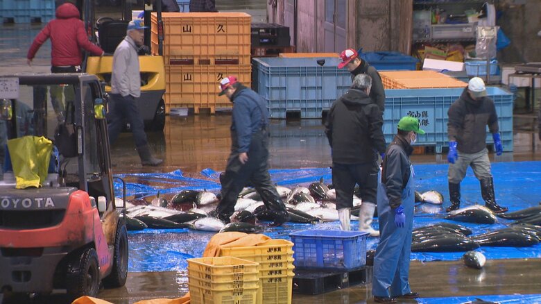 氷見漁港　23日朝