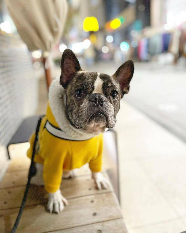 提供：丸男さん