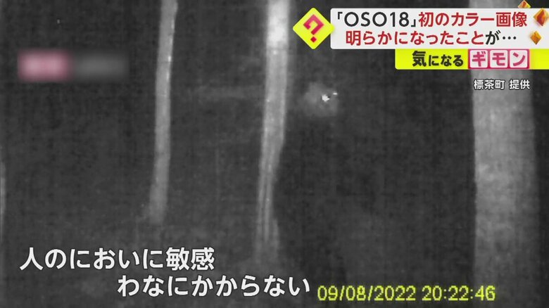 「OSO18」の白黒画像