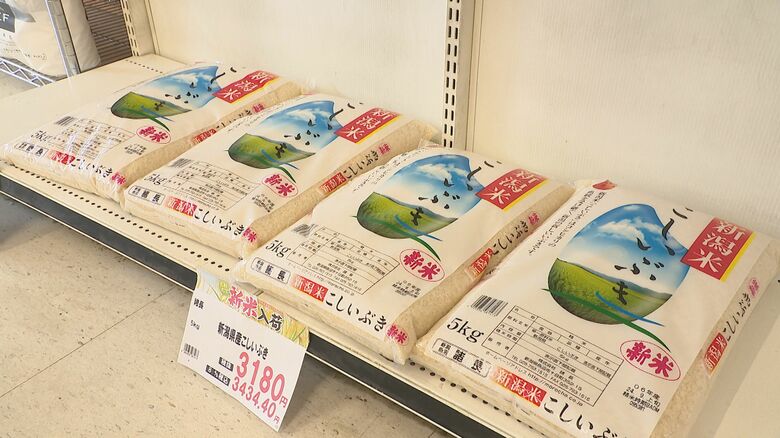 コシイブキ新米の販売価格は例年の約1.5倍に