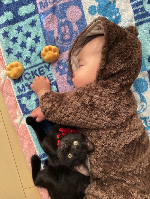 提供：ゴンゾウR4さん