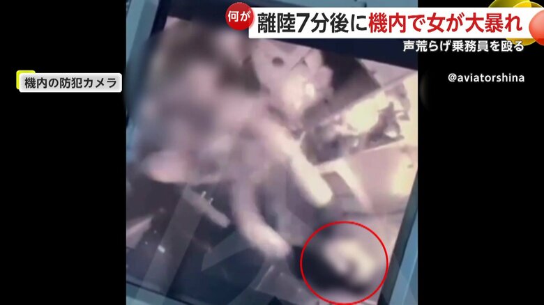 乗務員に暴行する女