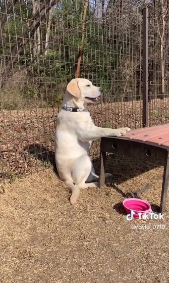 ちょっと笑顔にも見える？