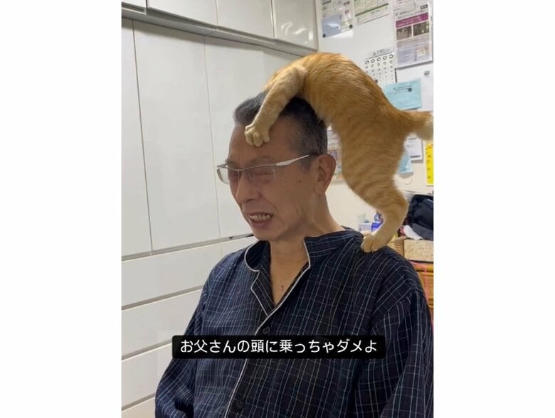 とても痛そうな表情だ…（提供：cohakuさん）