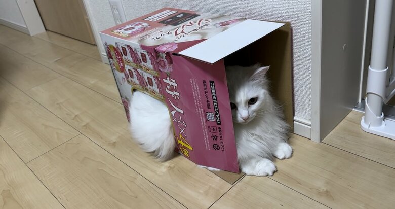 毛がはみ出ているのもご愛嬌
