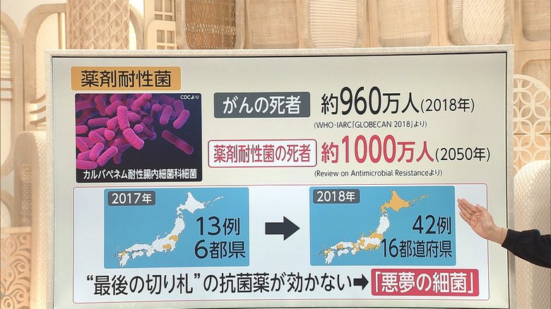 3分でわかるキーワード 薬効かない...「悪夢の細菌」