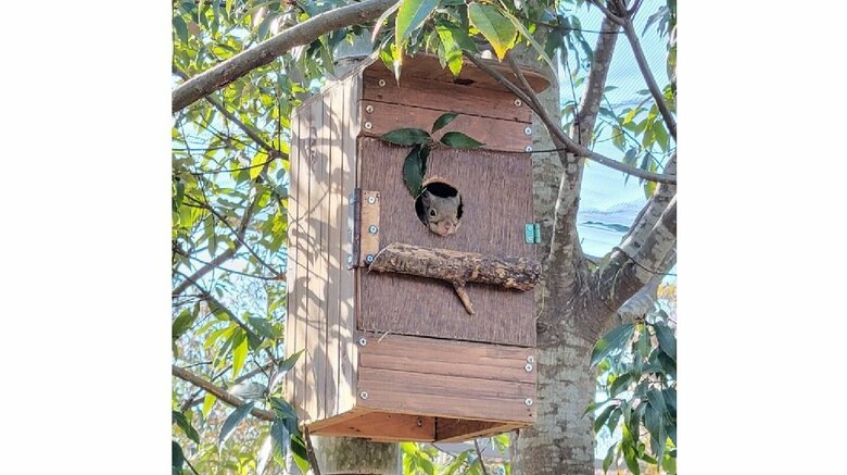 （提供：神戸どうぶつ王国）