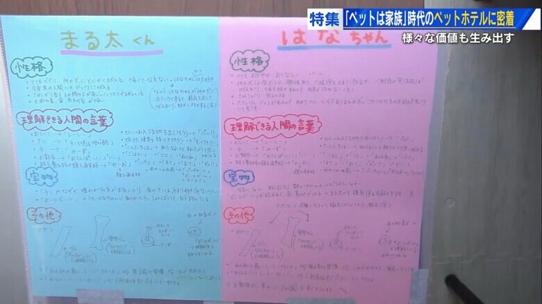 飼い主からのメモには2匹の情報がびっしり