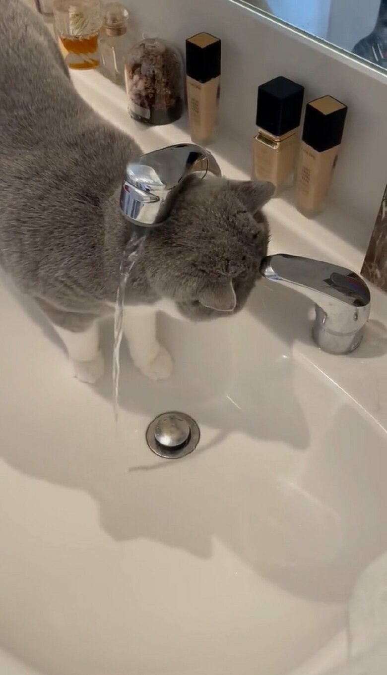 水を出すことに成功した！（提供：八海山くんの飼い主さんTwitterアカウント）
