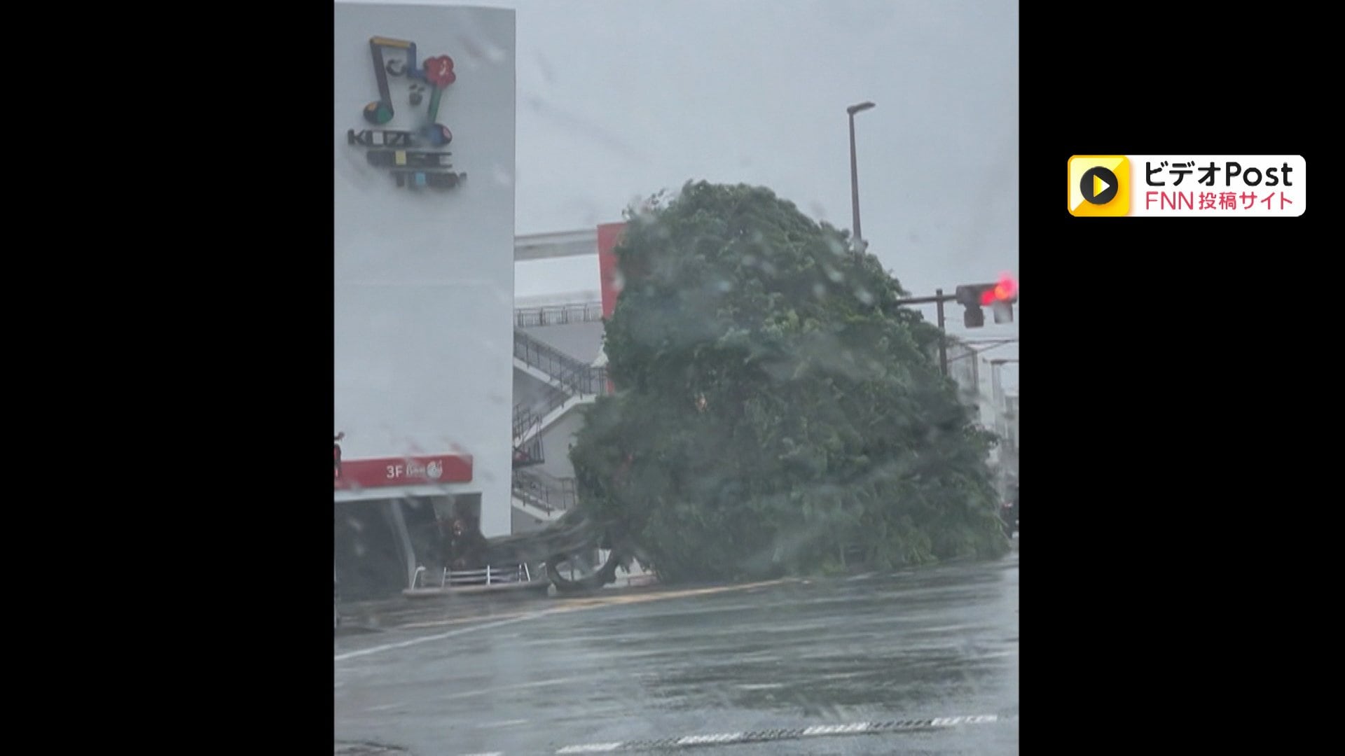 台風6号　沖縄に最接近　各地で警報級大雨の恐れ　強風で農業用ハウスがむき出しに　倒木相次ぎ県全域に停電広がる