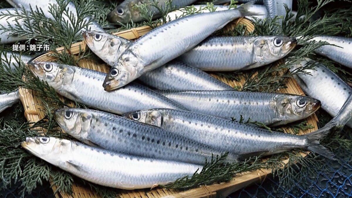 img_1aa4d39feb8de92603b6b7432f