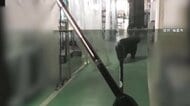 目の前に迫る巨大クマ　麻酔銃も効かず暴れ逃走　緊急銃猟の一部始終　専門家「毛の生え替わりで針が奥まで入らず」　福島工場居座り