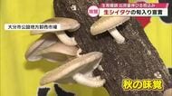 生シイタケの旬入り宣言　1キロあたり1113円で例年並みの価格　出荷量伸びる見込み　大分