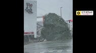 台風6号　沖縄に最接近　各地で警報級大雨の恐れ　強風で農業用ハウスがむき出しに　倒木相次ぎ県全域に停電広がる