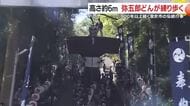 高さ約6m　弥五郎どんが練り歩く　900年以上続く鹿児島・曽於市の伝統行事