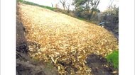 “大根の切れ端”1トン超投棄 漬物会社の社長ら逮捕