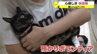 <愛LOVEアニマル>保護猫のお世話をする元保護猫の「はっちゃん」【福井】