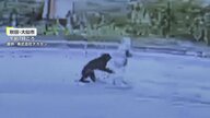 散歩中82歳女性にクマが飛びかかる瞬間が防犯カメラに　なぜ襲撃？専門家「パニック状態…おばあさんですら脅威と感じてやられる前に攻撃か」
