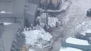 小矢部市養鶏場の鳥インフルエンザウイルスは全国と 同様の遺伝子配列