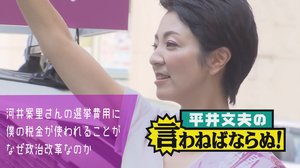 河井案里さんの選挙費用に僕の税金が使われることがなぜ政治改革なのか誰か教えてくれ