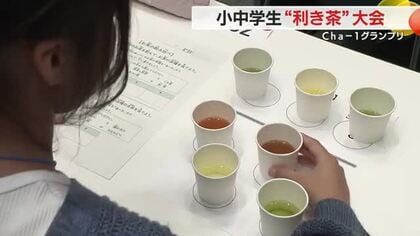 お茶を飲んで品種を当たる“利き茶”　小中学生が技能競う大会　ハイレベルな熱戦
