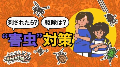 「害虫対策」特集　目次