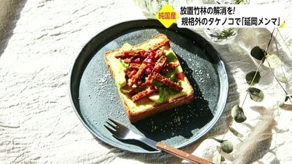 純国産「延岡メンマ」開発 廃棄されていた規格外タケノコ”活用 新たな食べ方も提案【宮崎発】