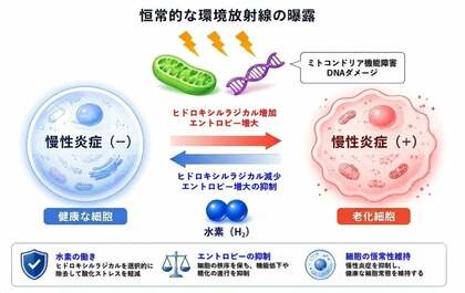 分子状水素の抗酸化・細胞保護総説 3 本が Medical Gas Research 受理｜MiZ・慶應