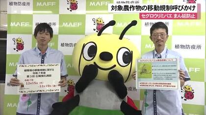 セグロウリミバエのまん延防止　対象農作物の移動規制・広報強化週間