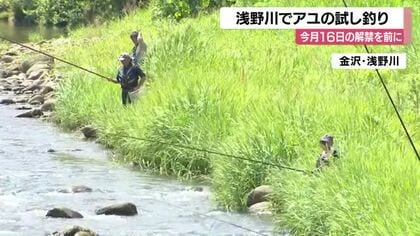 浅野川アユ解禁まであと数日、試し釣りで30匹を確認　16日から本番へ