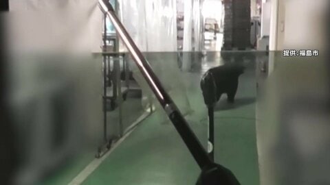 目の前に迫る巨大クマ　麻酔銃も効かず暴れ逃走　緊急銃猟の一部始終　専門家「毛の生え替わりで針が奥まで入らず」　福島工場居座り