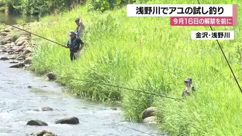浅野川アユ解禁まであと数日、試し釣りで30匹を確認　16日から本番へ