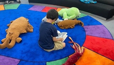 広島県立図書館がリニューアル…子どもがワクワクする「サイエンスライブラリー」とは