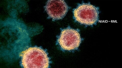 新型コロナ 東京都で新たに388人の感染確認