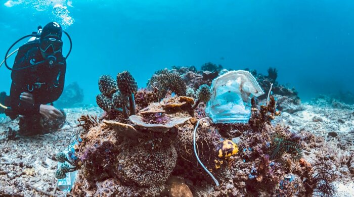 海底に沈む使い捨てマスクは野生生物や環境にも影響