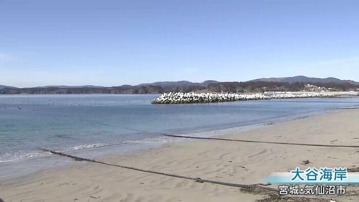 捺星さんの遺骨が見つかった宮城県気仙沼市の大谷海岸