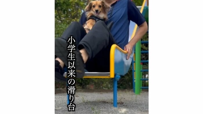 2回目の散歩 満足度を上げるために遊具で遊んだ(提供:@kotarohesoten)