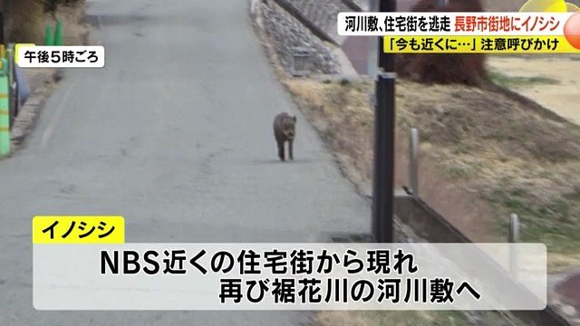 再び裾花側の河川敷へ