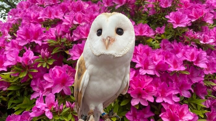 ツツジとアイちゃん(提供:周南市徳山動物園)