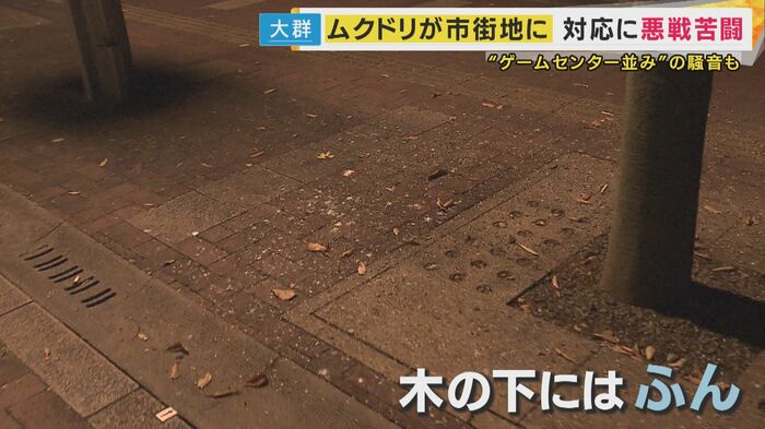 ふん害で「憤慨」