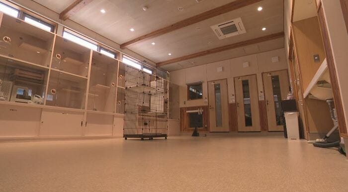 空になった動物愛護センター