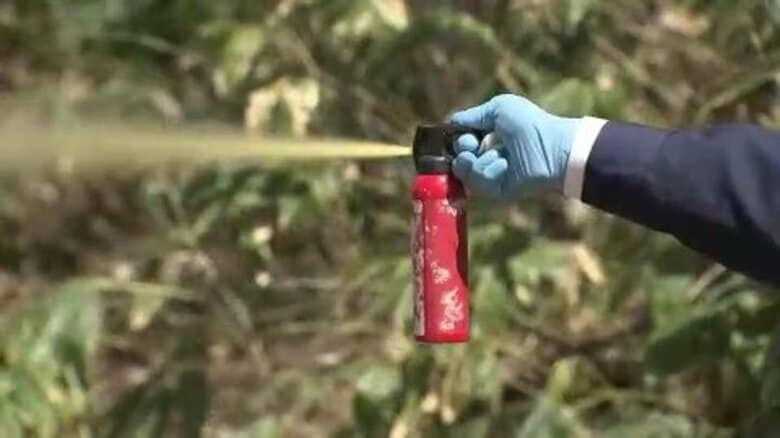 『クマ撃退スプレーの噴射実験』で高校生3人搬送＿目の痛み訴え動けず＿部活仲間6人で三角山へ〈北海道札幌市〉｜FNNプライムオンライン
