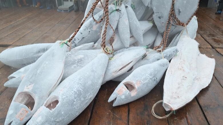 冷凍マグロを倉庫の“保冷剤”に…電気使用の「調整力」を市場に販売して対価 新たな節電ビジネスへの可能性｜FNNプライムオンライン