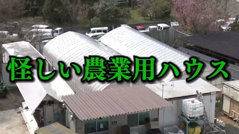 「怪しい農業用ハウス」　住宅街の真ん中で大麻栽培か　男2人を逮捕　ドライブスルー形式で販売していたか｜FNNプライムオンライン