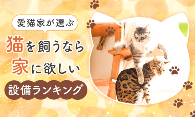 【愛猫家が選ぶ】猫を飼うなら家に欲しい設備ランキング！