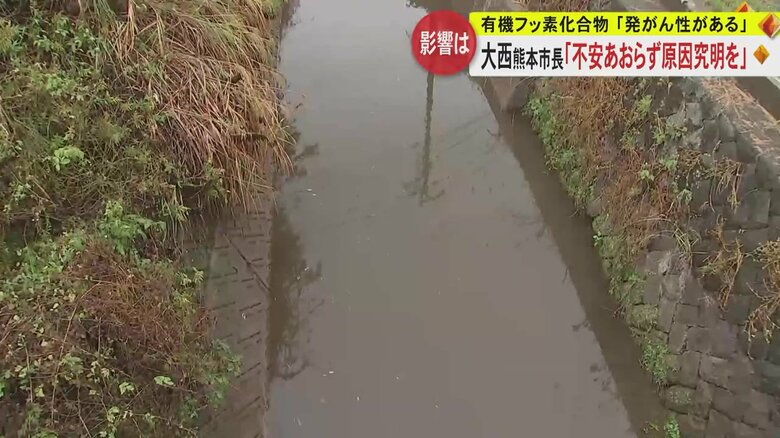 WHOの研究機関が有機フッ素化合物の発がん性評価引き上げ　熊本市長「不安あおらず原因究明が重要」｜FNNプライムオンライン